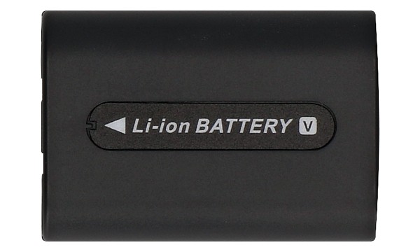 FDR-AX43B Battery (2 Cells)