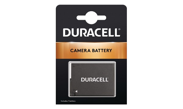 Lumix FZ300 Battery