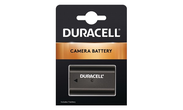 Lumix DC-G9 Battery (2 Cells)