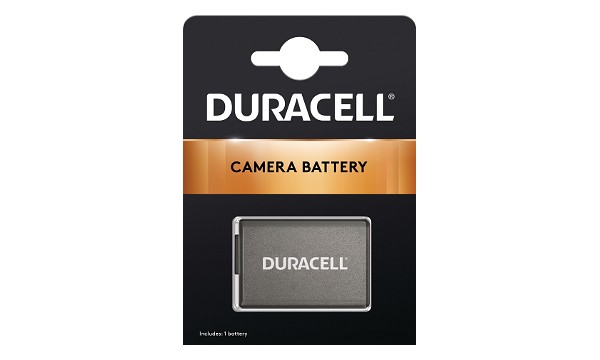 Lumix FZ60 Battery