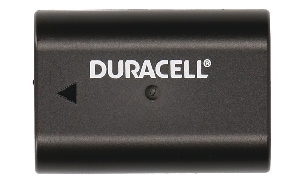 DMW-BLF19 Battery (2 Cells)