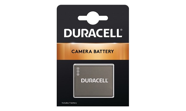 Lumix DC-TS7 Battery