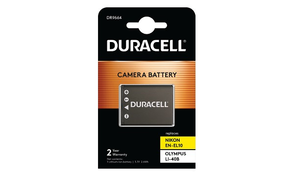 FinePix J20 Battery